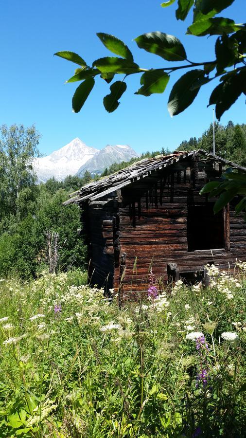 Chalet Bergmann Bürchen Exterior foto