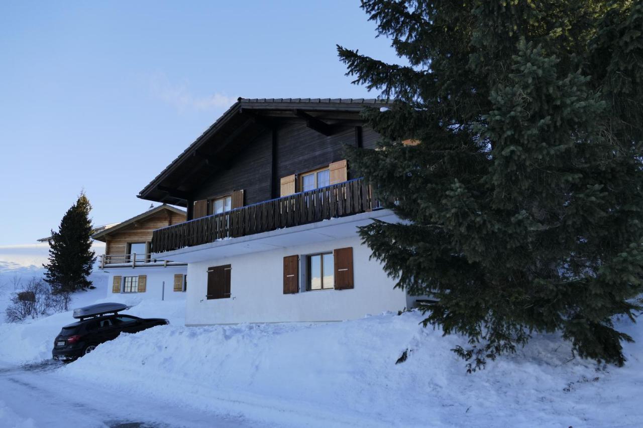 Chalet Bergmann Bürchen Exterior foto